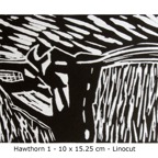 PR2016-01 hawthorn 1.jpg
