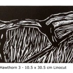 PR2016-03 Hawthorn 3.jpg