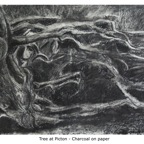 DR2008-01 tree at picton - charcoal.jpg